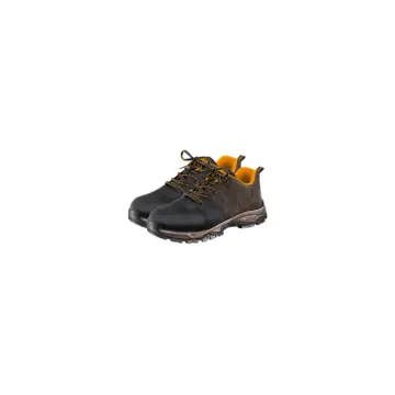 Zapato de seguridad 42